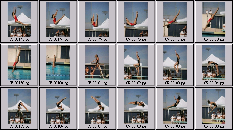 womens springboard diving photos