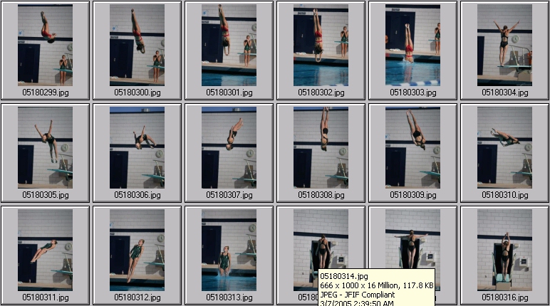 womens springboard diving