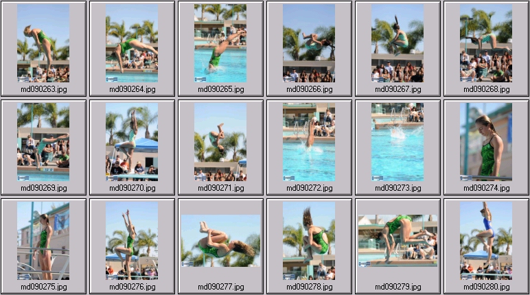 womens springboard diving