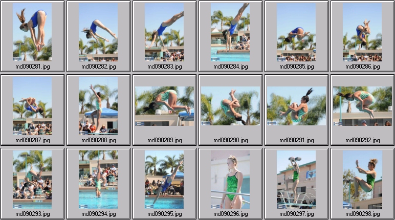 womens springboard diving