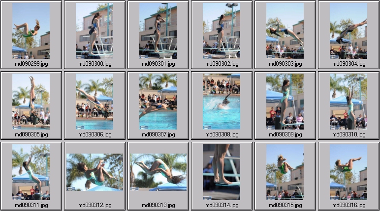 womens springboard diving