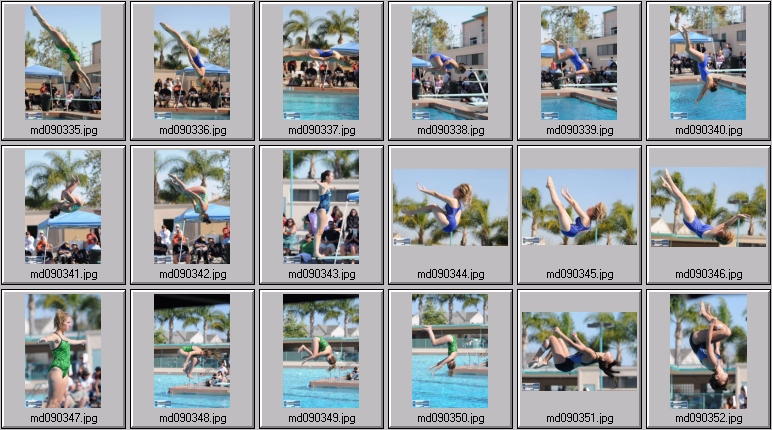 womens springboard diving