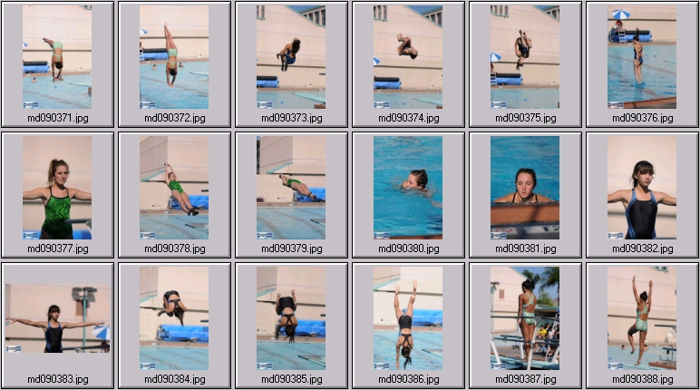 womens springboard diving