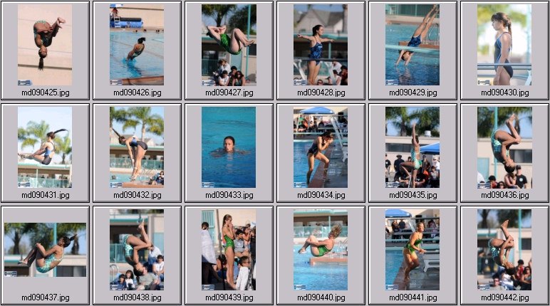 womens springboard diving