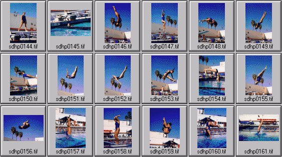 womens diving photos
