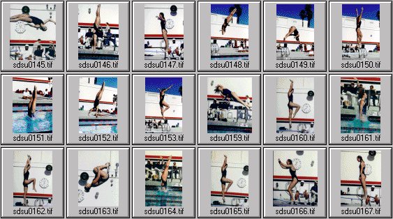 SDSU-Fresno State Women's diving photos