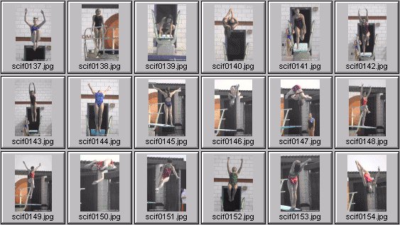 womens diving photos