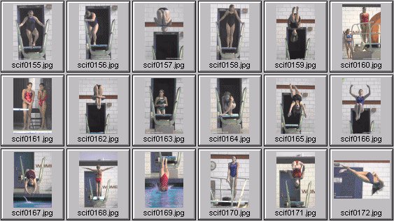 womens diving photos