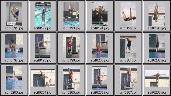 womens diving photos