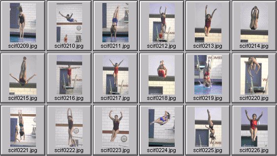 womens diving photos
