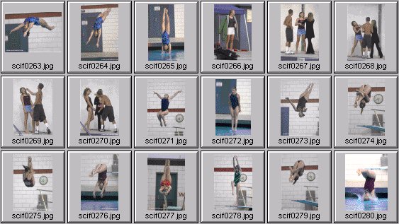 womens diving photos