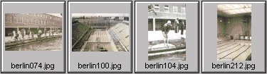 berlin 1936 olympics - aquatic center