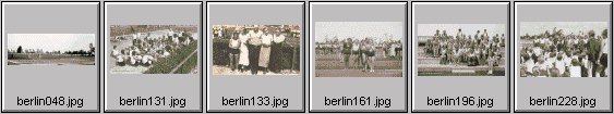 berlin 1936 olympics - female hitler youth