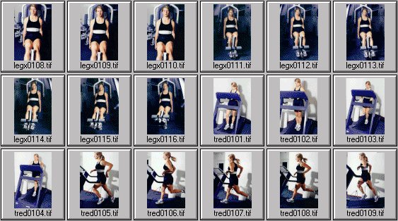 womens exercise photos