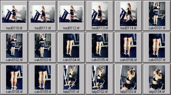 womens exercise photos