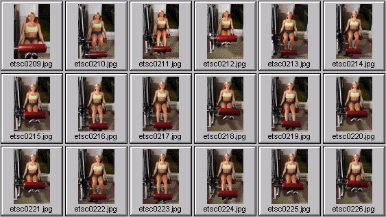 womens workout photos - quadriceps (leg extensions)