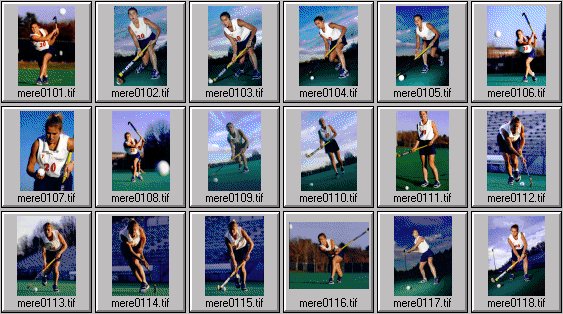 meredith elwell field hockey pictures