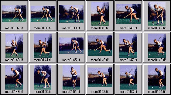 meredith elwell field hockey pictures