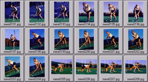 meredith elwell field hockey pictures