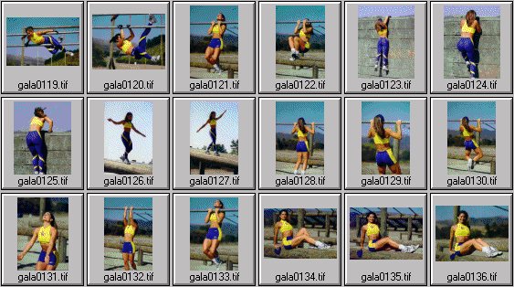 women's fitness pictures