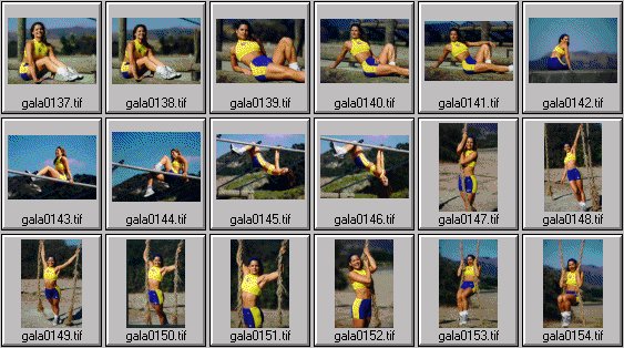 women's fitness pictures