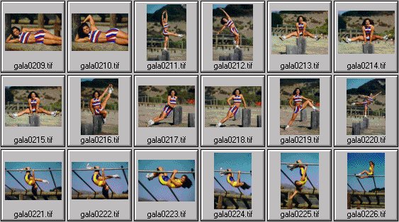 women's fitness pictures