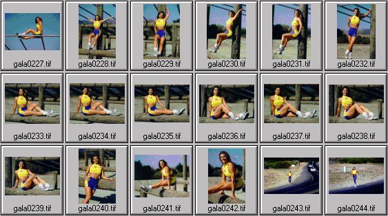 women's fitness pictures