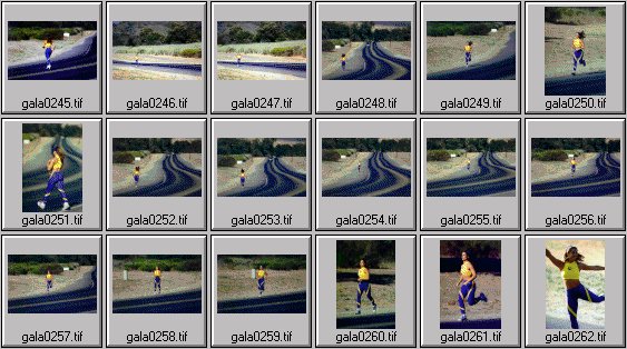 women's fitness pictures