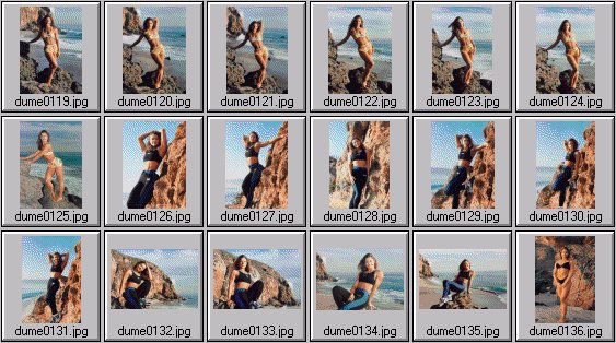 women's fitness pictures