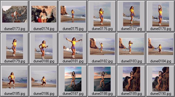 women's fitness pictures