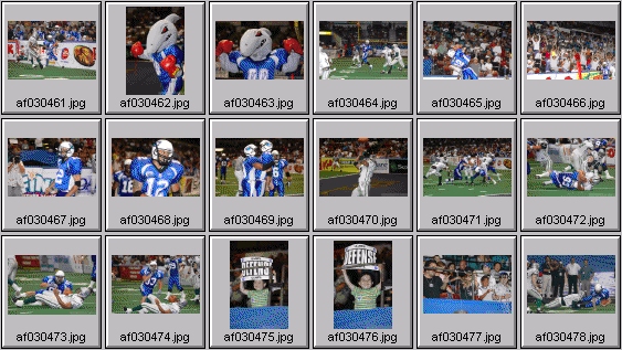 arena football photos