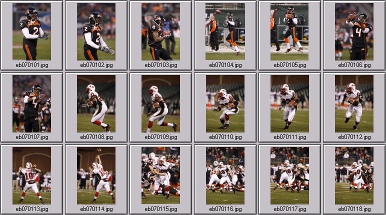 oregon state beaver football