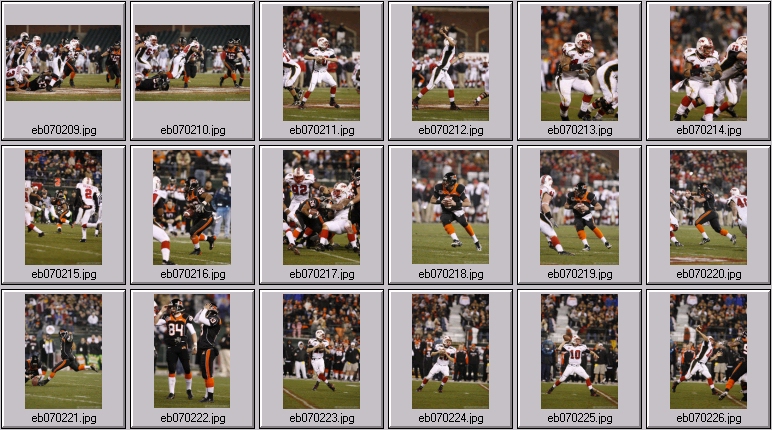 oregon state football