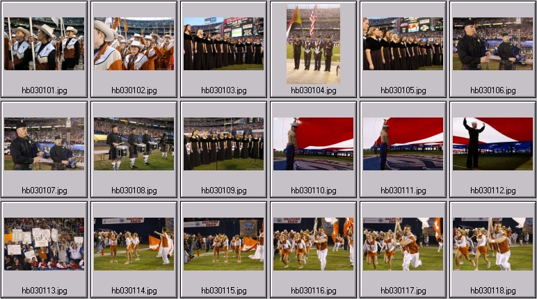 washington state cougar photos - texas longhorn football photos