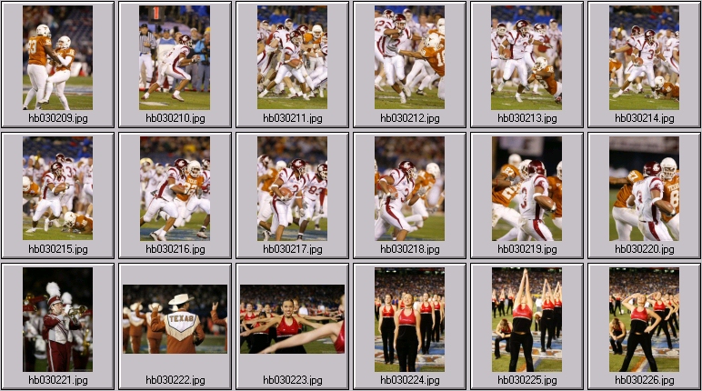 washington state cougar photos - texas longhorn football photos - vince young photos