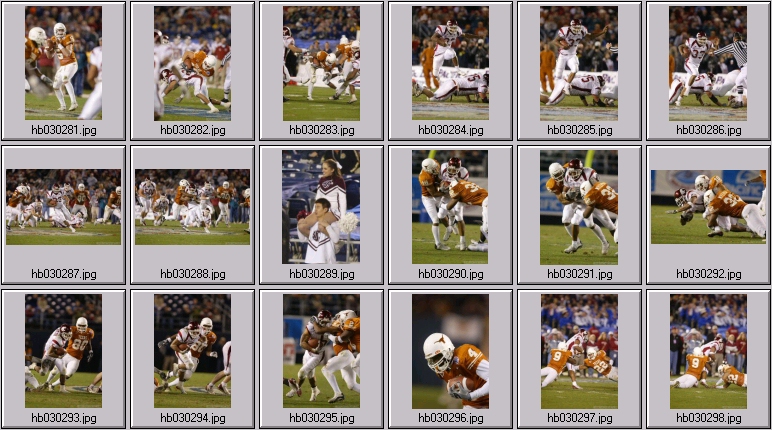 washington state cougar photos - texas longhorn football photos - vince young photos