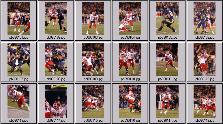 poinsettia bowl 5 photos