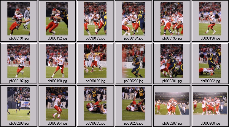 poinsettia bowl 5 photos