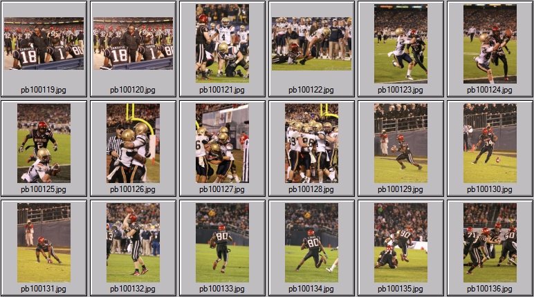 poinsettia bowl 6 photos