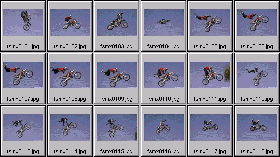 freestyle motocross photos