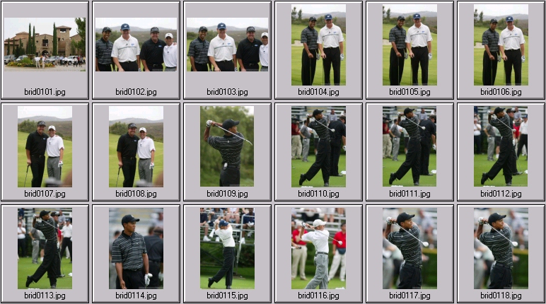 The bridges - Tiger Woods Phil Mickelson Ernie Els Sergio Garcia