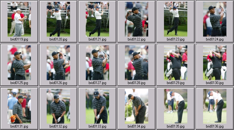 The bridges - Tiger Woods Phil Mickelson Ernie Els Sergio Garcia