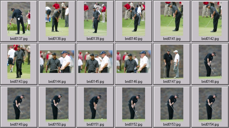 The bridges - Tiger Woods Phil Mickelson Ernie Els Sergio Garcia