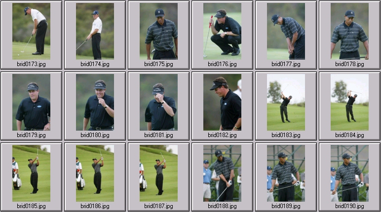 The bridges - Tiger Woods Phil Mickelson Ernie Els Sergio Garcia