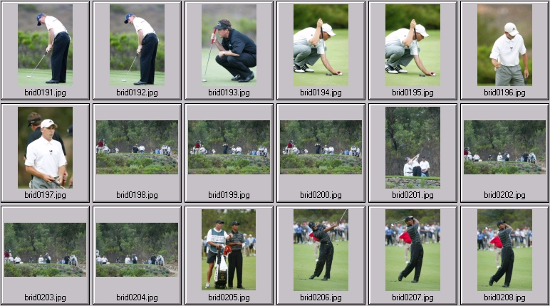 The bridges - Tiger Woods Phil Mickelson Ernie Els Sergio Garcia