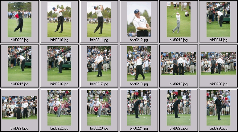 The bridges - Tiger Woods Phil Mickelson Ernie Els Sergio Garcia