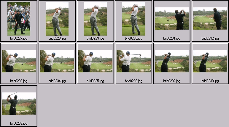 The bridges - Tiger Woods Phil Mickelson Ernie Els Sergio Garcia