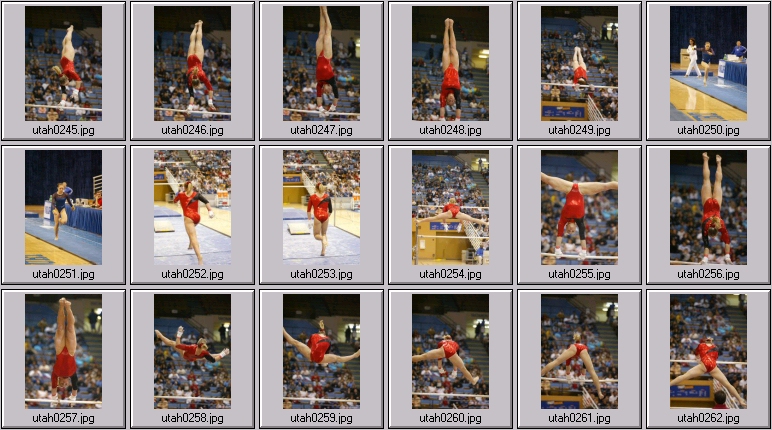 womens college gymnastics