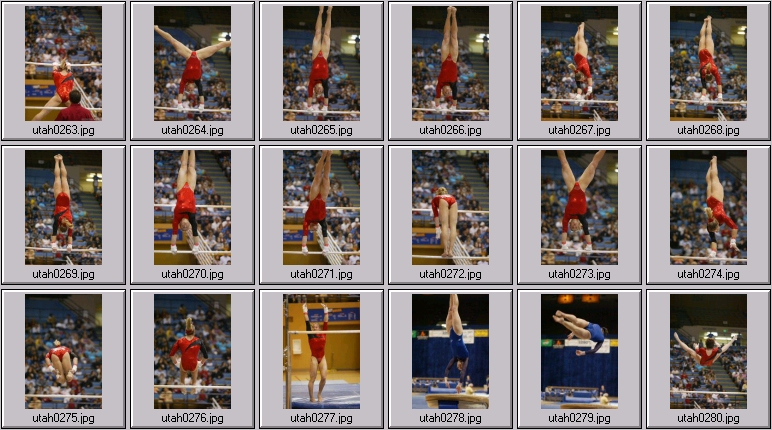 womens college gymnastics