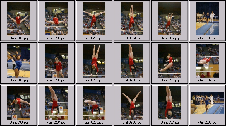 womens college gymnastics